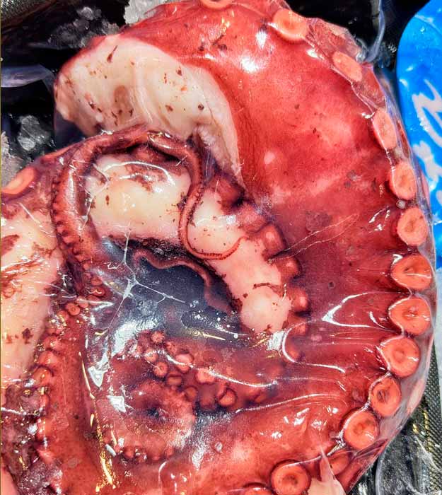 2-patas-de-pulpo-hervido-en-su-punto-pescaderia-barcelona-sunta