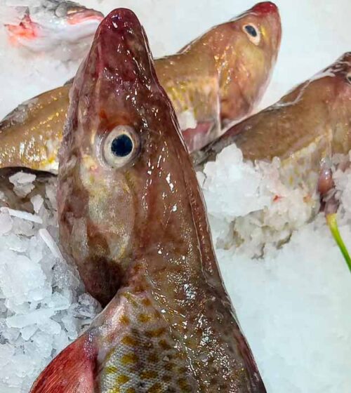 bacalao-fresco-pescaderia-barcelona-sunta