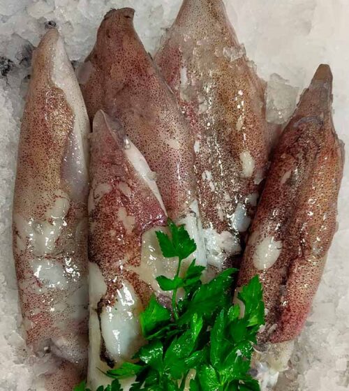 calamares-extra-frescos-pescaderia-barcelona-sunta