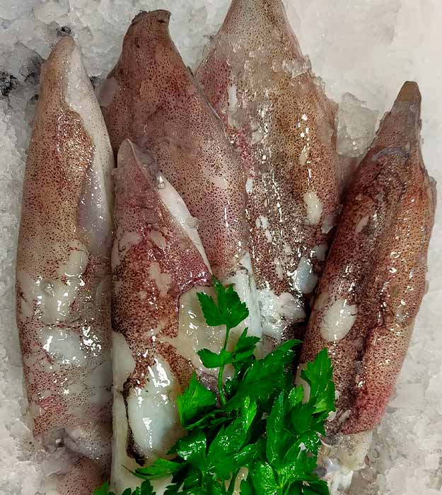 calamares-extra-frescos-pescaderia-barcelona-sunta