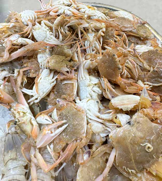 cangrejos-de-costa-pescaderia-online-barcelona-sunta-concepcio