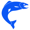 categoria-pescado-azul-pescaderia-online-barcelona-sunta-concepcio
