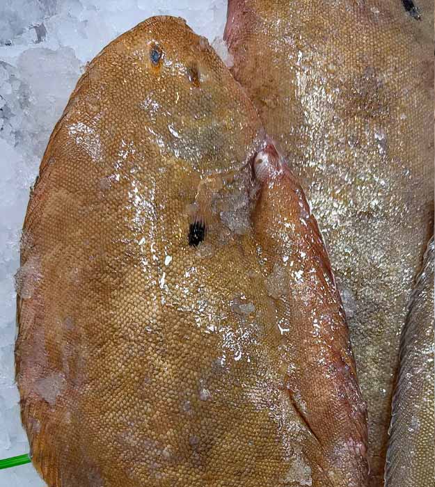 lenguado-extra-pescaderia-barcelona-sunta