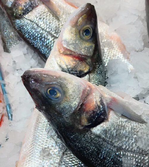 lubina-de-vivero-pescaderia-barcelona-sunta