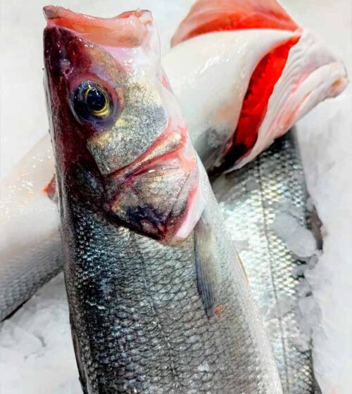 lubina-salvaje-pescaderia-online-barcelona-sunta-concepcio