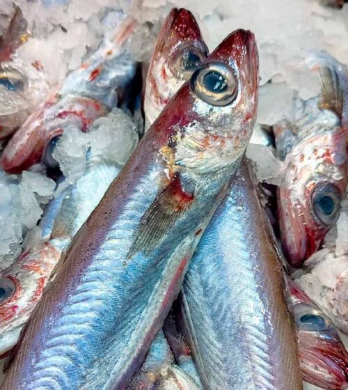 bacaladilla-merluza-pescaderia-barcelona-sunta