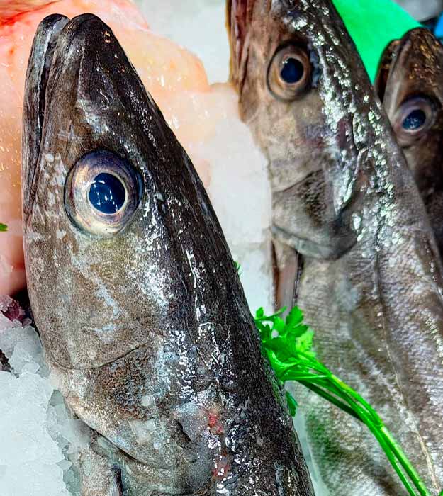 merluza-de-palangre-del-cantabrico-pescaderia-barcelona-sunta