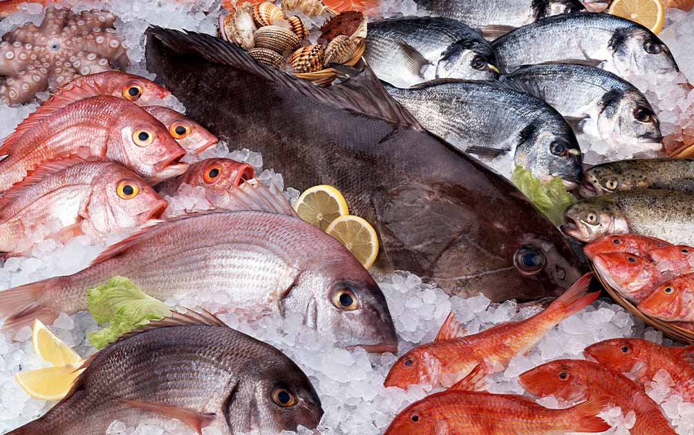 peixos-de-temporada-mes-a-mes-descobreix-les-especies-fresques-i-locals-cada-mes-de-lany