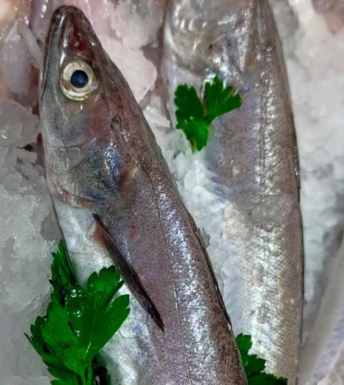 pescadilla-de-costa-pescaderia-online-barcelona-sunta-concepcio