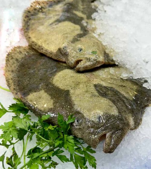 rodaballo-pescaderia-online-barcelona-sunta-concepcio