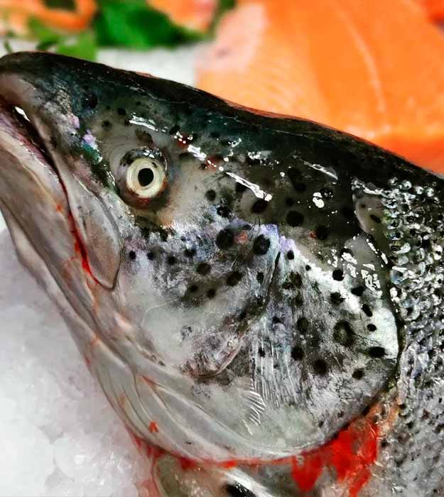 salmon-ecologico-de-noruega-pescaderia-online-barcelona-sunta-concepcio-4