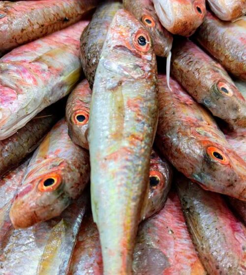 salmonetes-de-la-costa-pescaderia-online-barcelona-sunta-concepcio