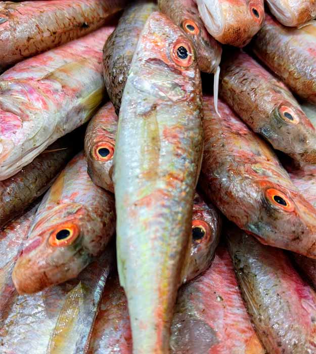 salmonetes-de-la-costa-pescaderia-online-barcelona-sunta-concepcio