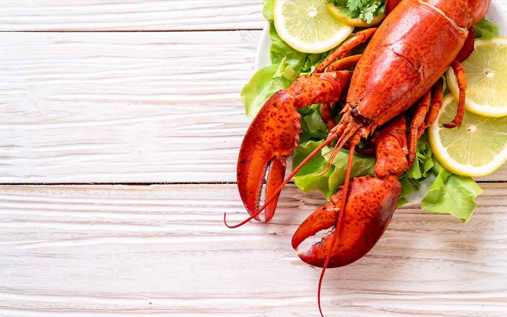 diferencias-entre-bogavante-y-langosta-guia-completa-para-gourmet diferencias-entre-bogavante-y-langosta-guia-completa-para-gourmet